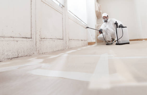 24/7 Emergency Mold Testing experts in Denton, TX